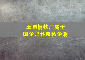 玉昆钢铁厂属于国企吗还是私企啊