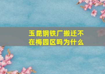 玉昆钢铁厂搬迁不在梅园区吗为什么