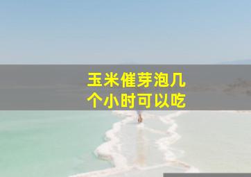 玉米催芽泡几个小时可以吃