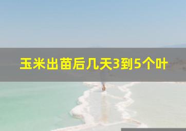 玉米出苗后几天3到5个叶