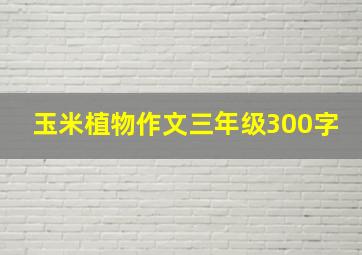 玉米植物作文三年级300字