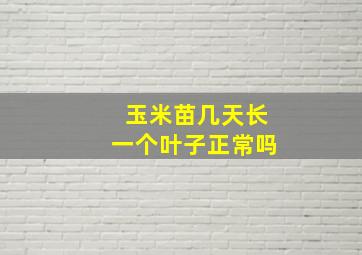 玉米苗几天长一个叶子正常吗