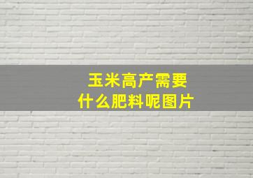 玉米高产需要什么肥料呢图片