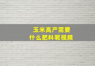 玉米高产需要什么肥料呢视频