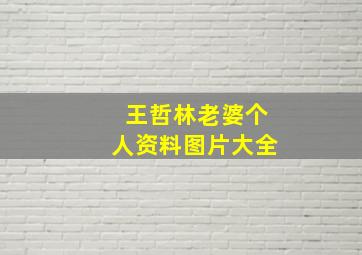 王哲林老婆个人资料图片大全