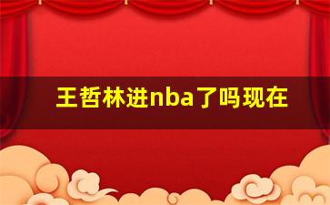 王哲林进nba了吗现在