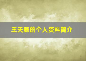 王天辰的个人资料简介