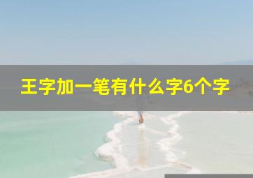 王字加一笔有什么字6个字