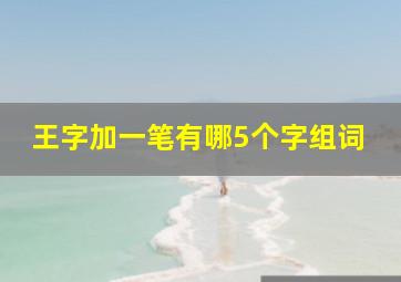 王字加一笔有哪5个字组词