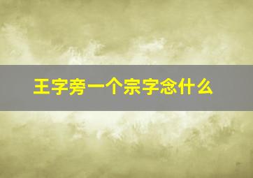 王字旁一个宗字念什么