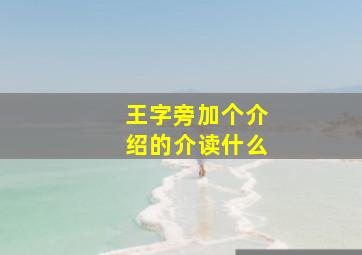 王字旁加个介绍的介读什么