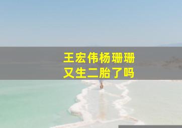 王宏伟杨珊珊又生二胎了吗