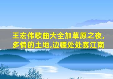 王宏伟歌曲大全加草原之夜,多情的土地,边疆处处赛江南