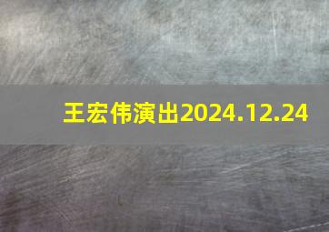 王宏伟演出2024.12.24