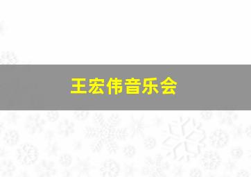 王宏伟音乐会