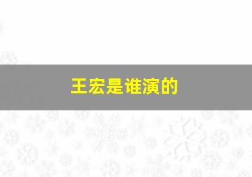 王宏是谁演的