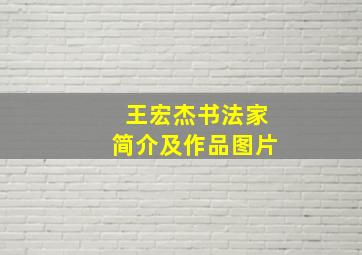 王宏杰书法家简介及作品图片