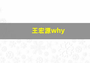 王宏源why