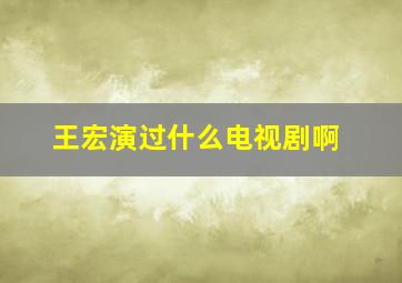 王宏演过什么电视剧啊