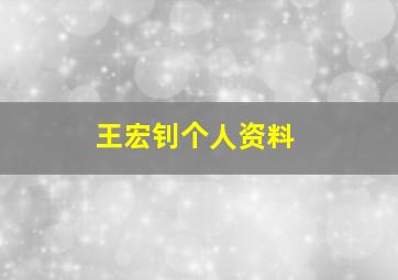 王宏钊个人资料