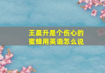 王晨升是个伤心的蜜蜂用英语怎么说