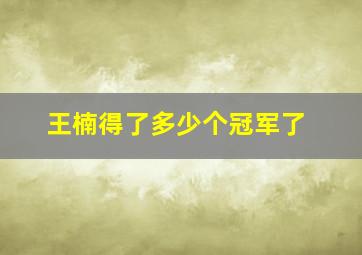 王楠得了多少个冠军了