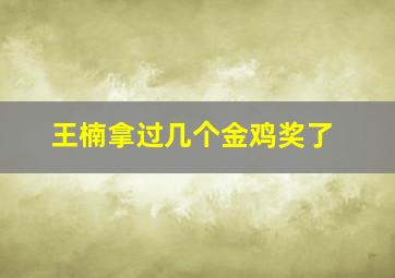 王楠拿过几个金鸡奖了