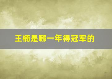 王楠是哪一年得冠军的