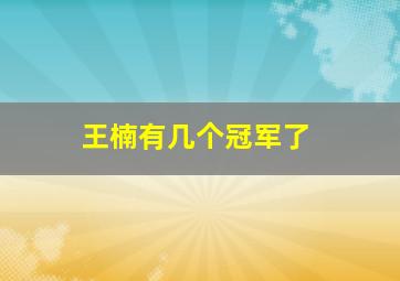 王楠有几个冠军了