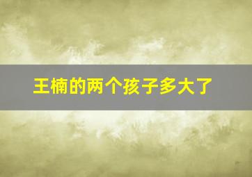 王楠的两个孩子多大了