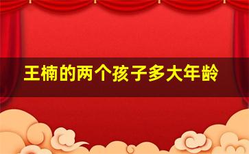 王楠的两个孩子多大年龄