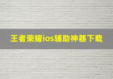 王者荣耀ios辅助神器下载