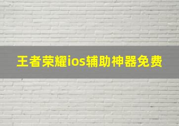 王者荣耀ios辅助神器免费