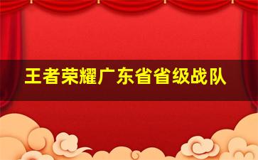 王者荣耀广东省省级战队