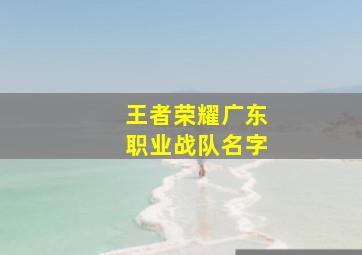 王者荣耀广东职业战队名字