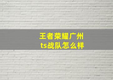 王者荣耀广州ts战队怎么样