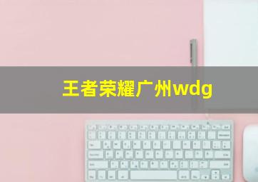 王者荣耀广州wdg