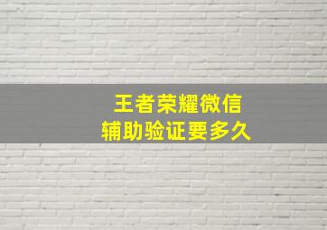 王者荣耀微信辅助验证要多久