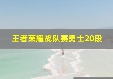 王者荣耀战队赛勇士20段