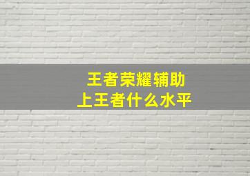 王者荣耀辅助上王者什么水平