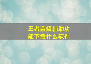 王者荣耀辅助功能下载什么软件