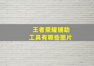 王者荣耀辅助工具有哪些图片