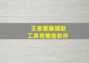 王者荣耀辅助工具有哪些软件