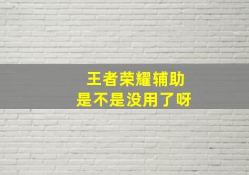 王者荣耀辅助是不是没用了呀