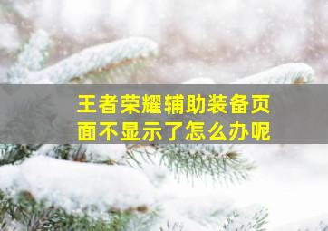 王者荣耀辅助装备页面不显示了怎么办呢