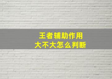 王者辅助作用大不大怎么判断