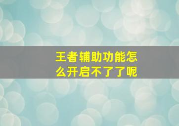 王者辅助功能怎么开启不了了呢