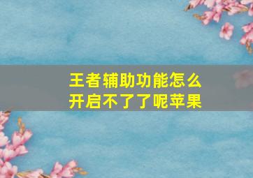 王者辅助功能怎么开启不了了呢苹果