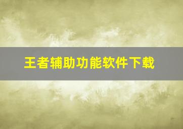 王者辅助功能软件下载