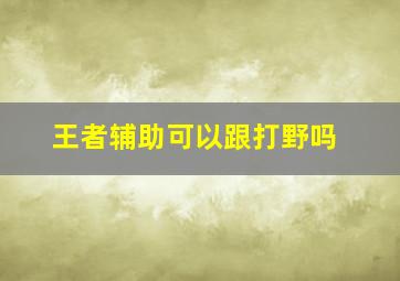 王者辅助可以跟打野吗